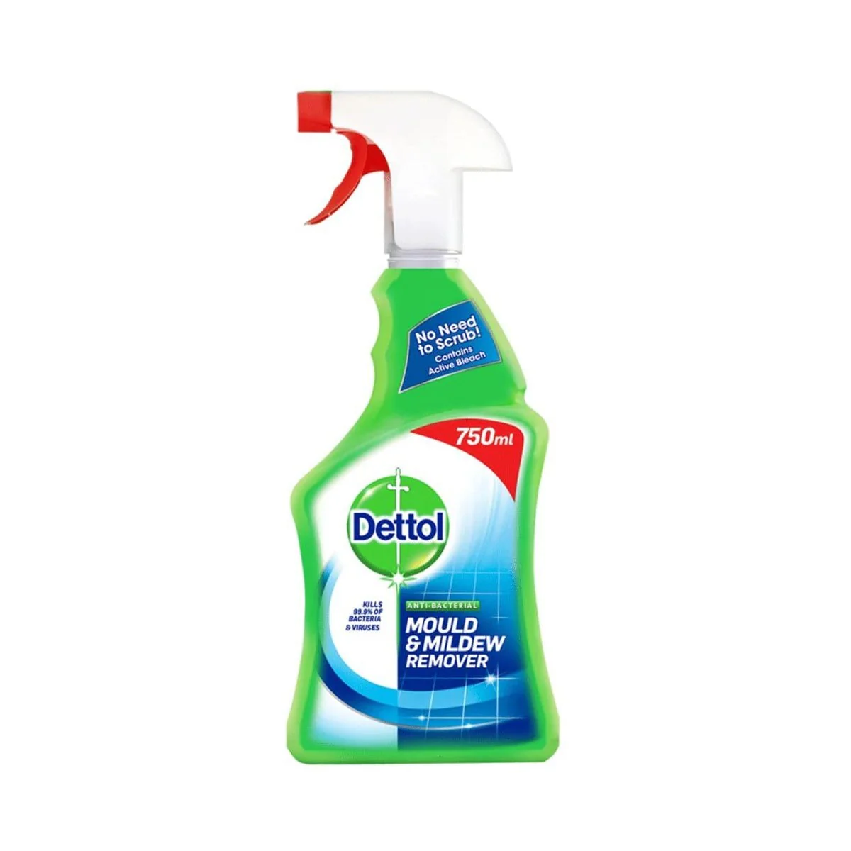 Dettol Mould & Mildew Remover Spray 750ml