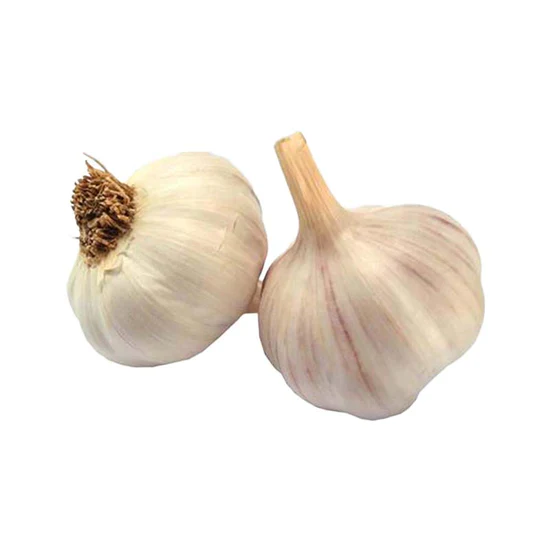 Garlic loose