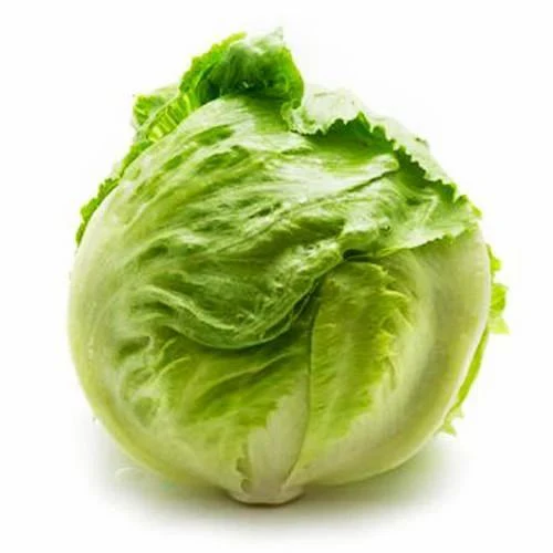 Iceberg (Lettuce)