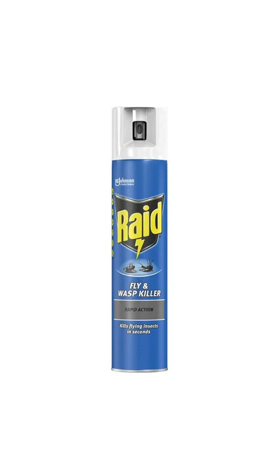 Raid Fly & Wasp Killer Spray 300ml